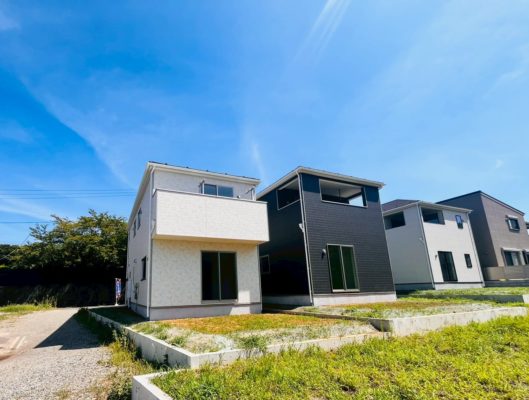 77847cf586350a39b1b054faa470be03